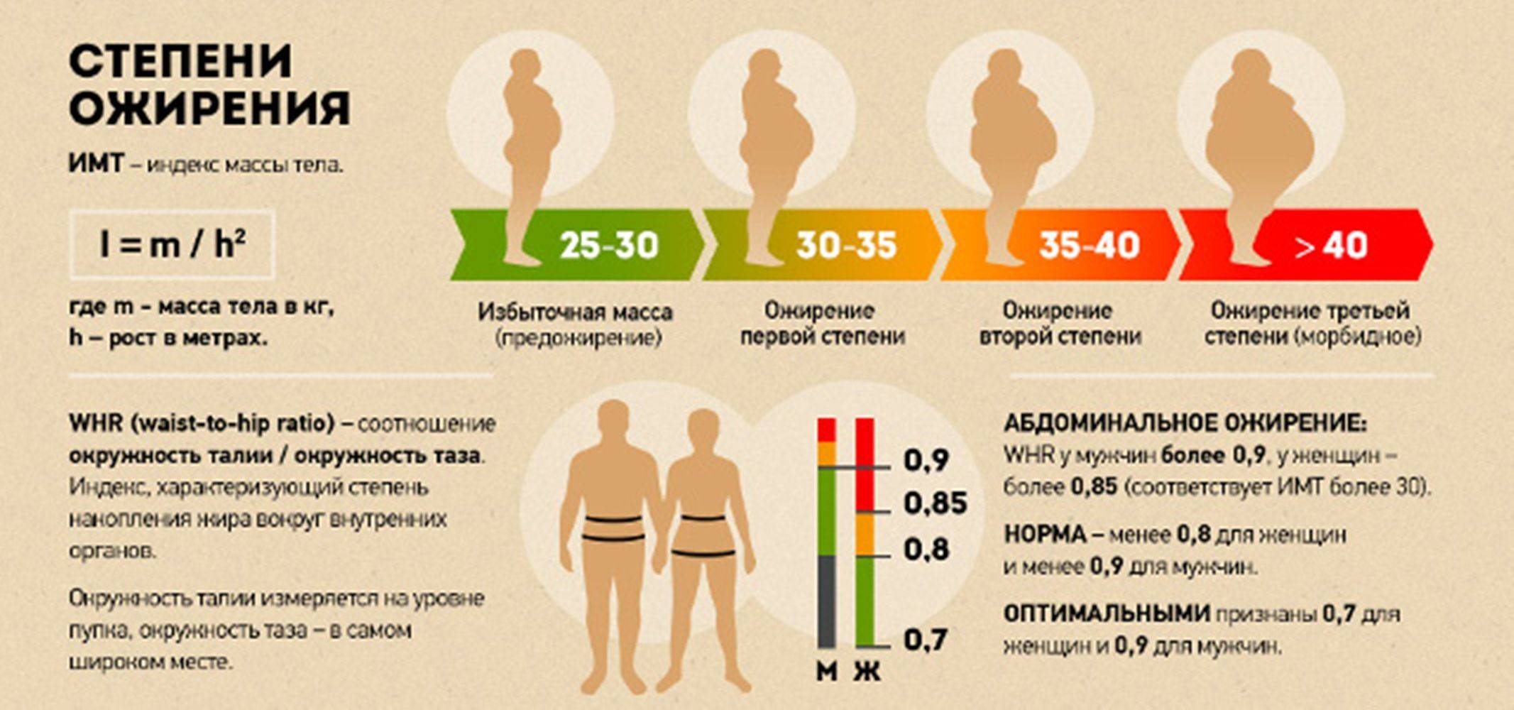 Диета При Абдоминальном Ожирении У Женщин