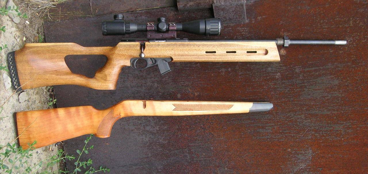 Мелкокалиберная винтовка для охоты или мелкашка: описание и применение на охоте, какую малокалиберную винтовку выбрать