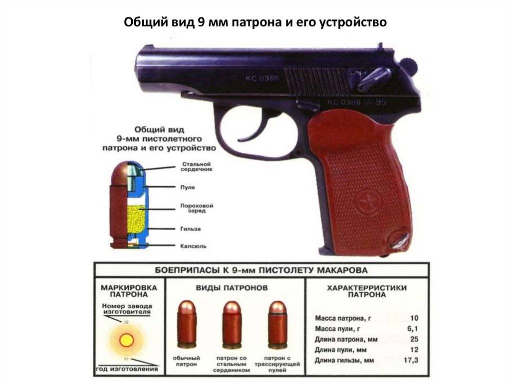 Weaponplace.ru - травматический пистолет пм-т