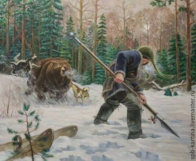 Охота на медведя: виды, тонкости по сезонам, выбор оружия