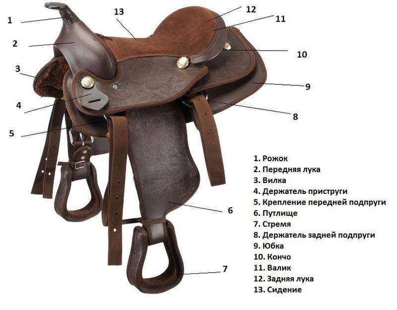 Строение седла и уздечки для лошади: виды и особенности