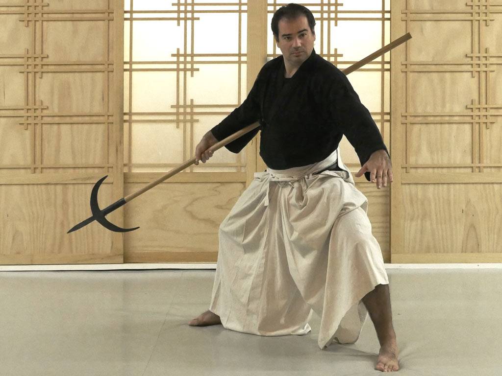 Нагината: японский меч и оружие самурая, нагинатадзюцу