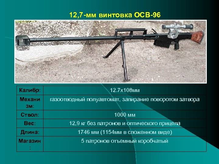 Снайперская винтовка осв-96 взломщик, тактико-технические характеристики, обзор вооружения
