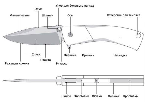 Раскладной нож: особенности конструкции :: syl.ru