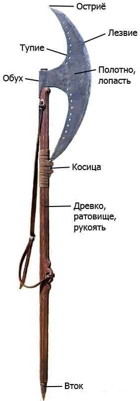 Бердыш: похожее на топор оружие, история появления, кем применялось, как использовали русские стрельцы, длина лезвия и рукояти, вес