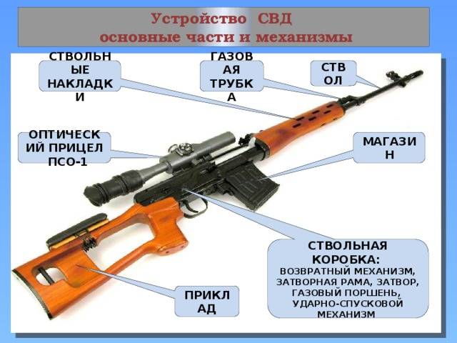 Свд - снайперская винтовка драгунова фото, видео, описание, характеристики