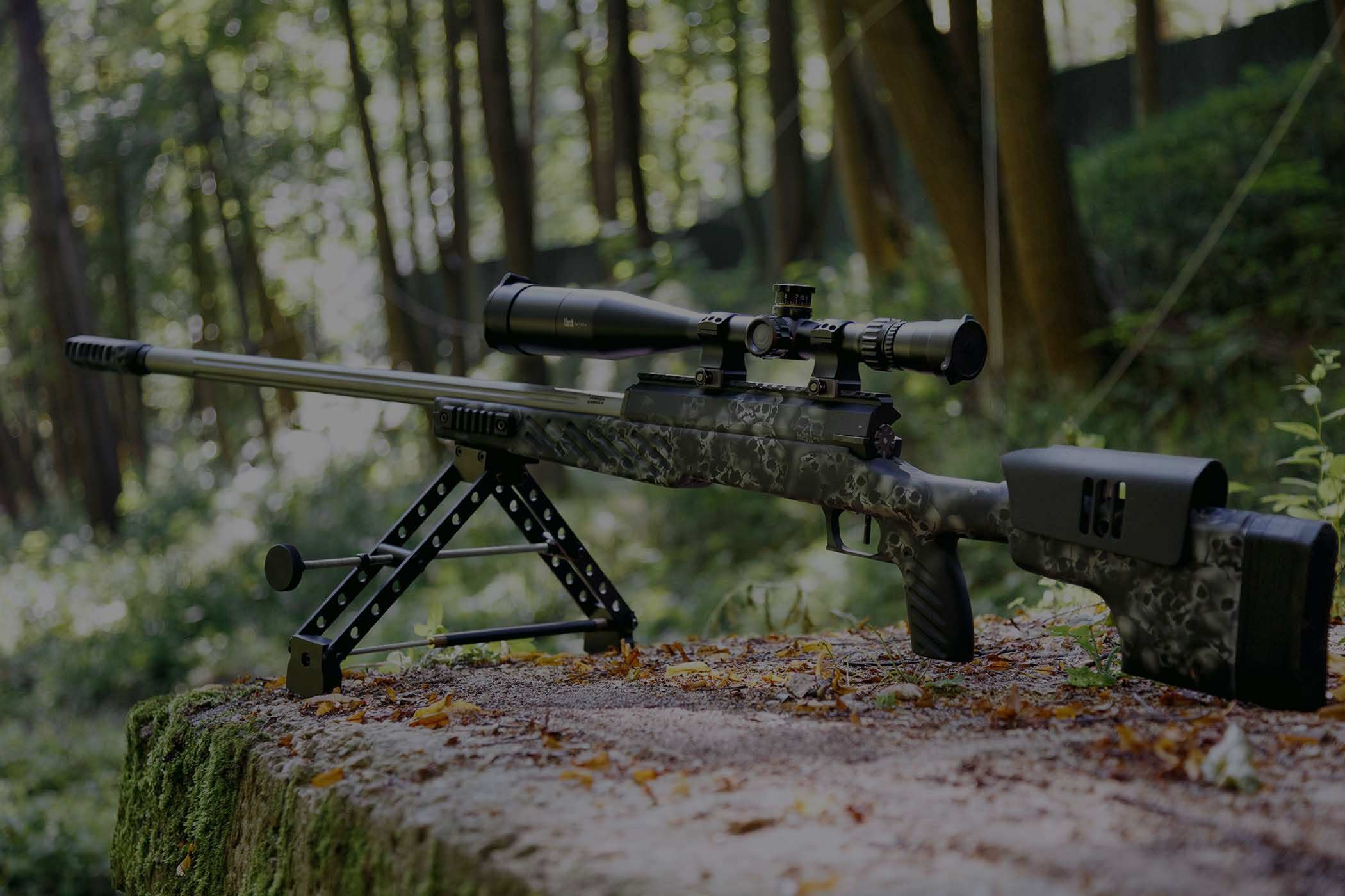 Снайперская винтовка Лобаева – оружие профессионалов