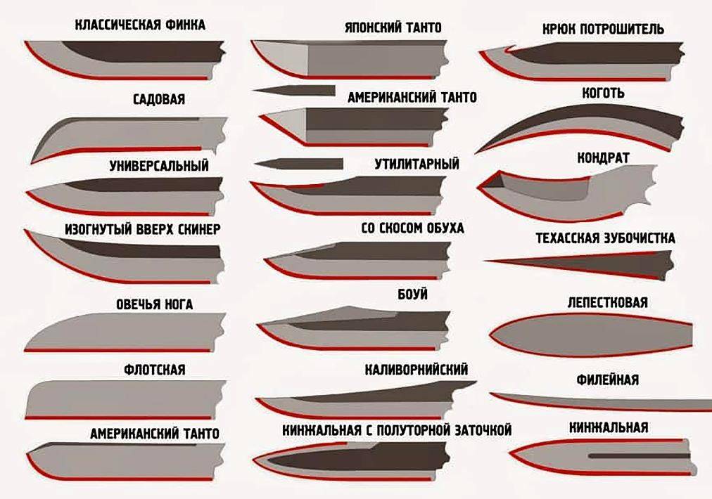 Виды кухонных ножей [фото и инфографика] — все разновидности кухонных ножей и их назначение