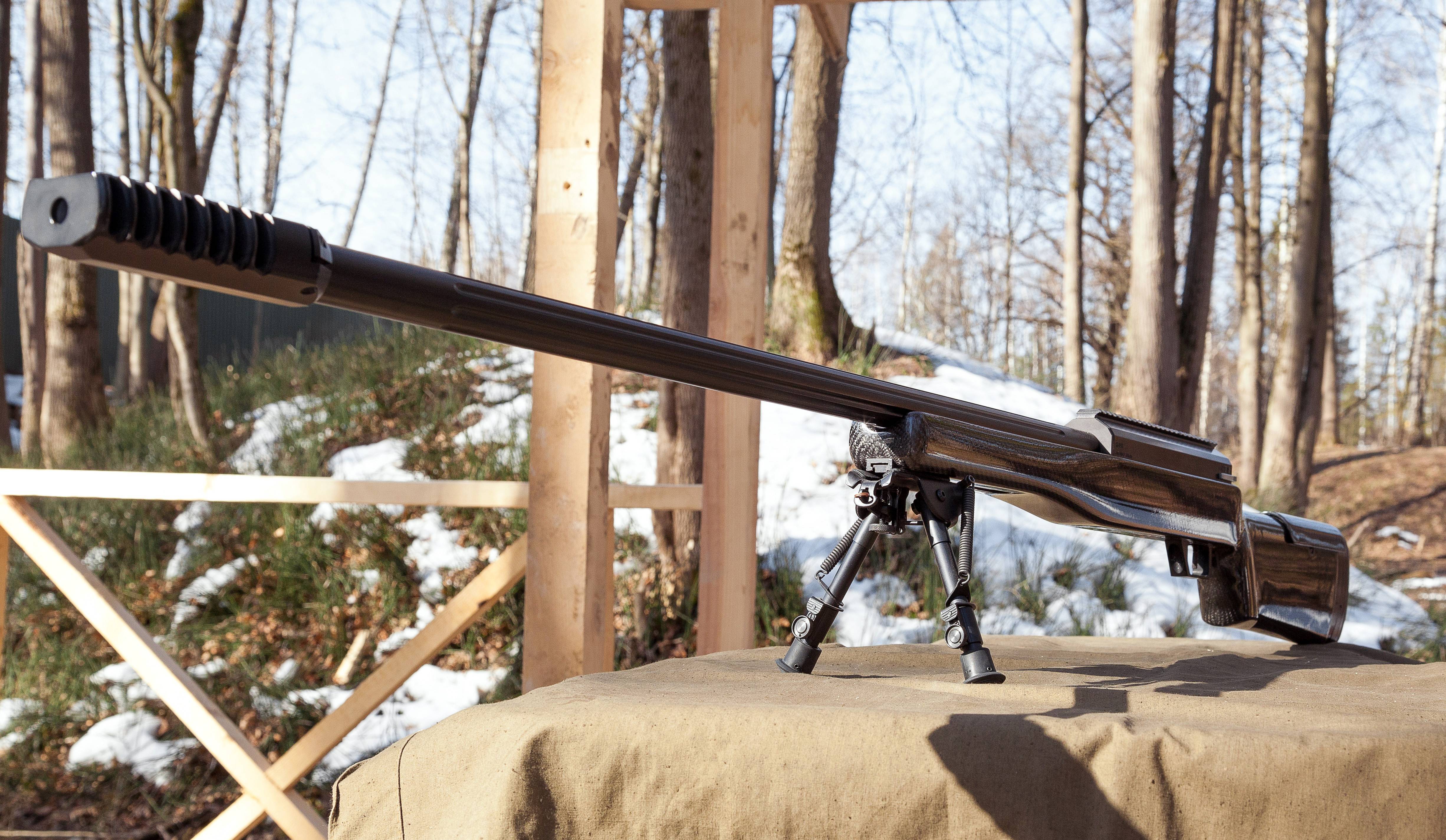 Снайперская винтовка лобаева — оружие профессионалов