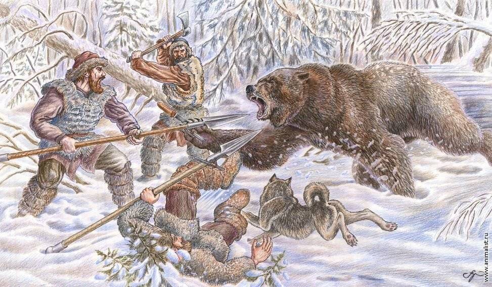 Как охотились на медведя с рогатиной?