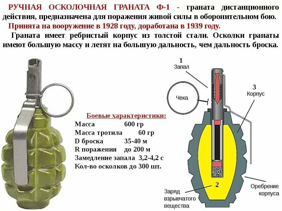 Детали и механизмы стрелкового огнестрельного оружия
