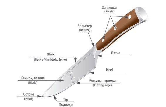 Ножи для выживания в экстремальных условиях: устройство многофункциональной конструкции и топ-рейтинг моделей