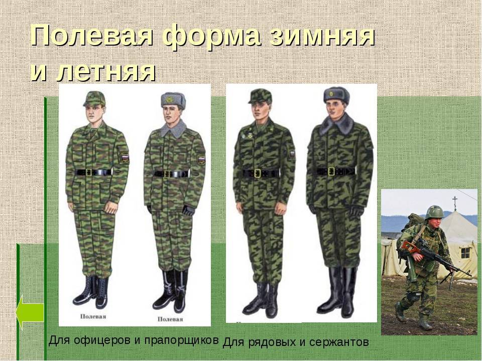 Современная военная форма российской армии: новая экипировка, офицерская, парадная, полевая, знаки различия