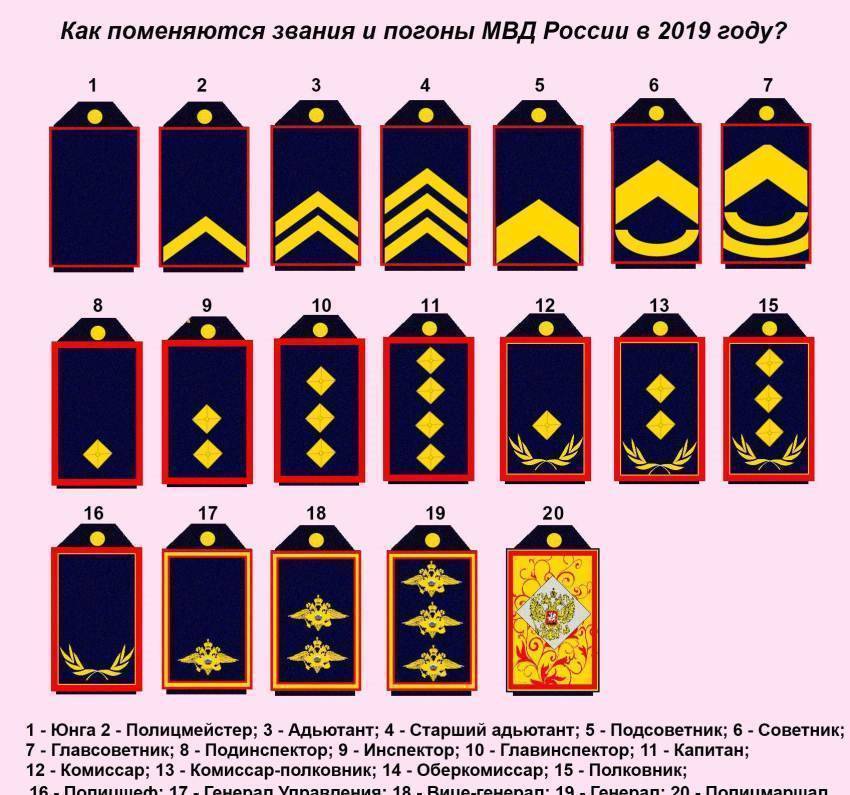 Как выглядят погоны полиции россии: знаки различия у сержанта, прапорщика и лейтенанта, звания в дпс, как и сколько пришить звездочек начальствующему составу (расстояние, крепление) ⭐ doblest.club