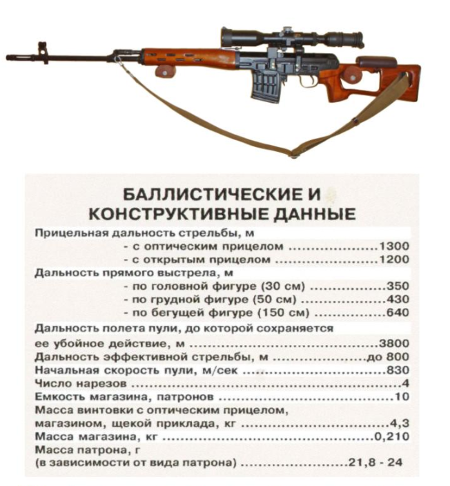 Винтовка драгунова. снайперская винтовка драгунова (свд)
