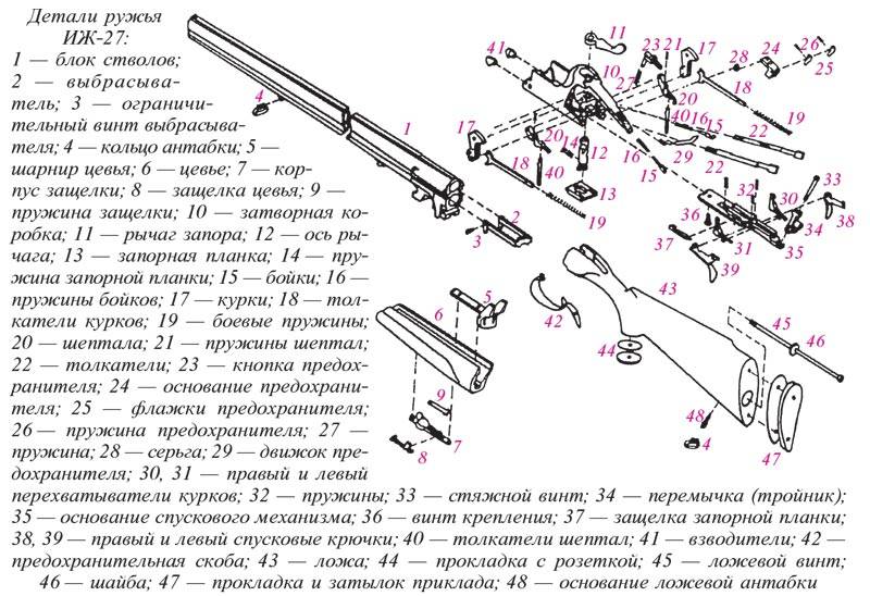 Популярная советская двустволка иж-54, используемая до сих пор