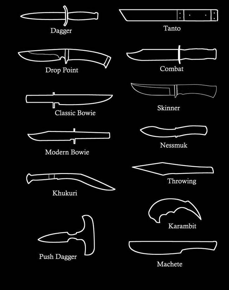 Какие виды ножей бывают и как их выбрать: формы, названия, характеристики