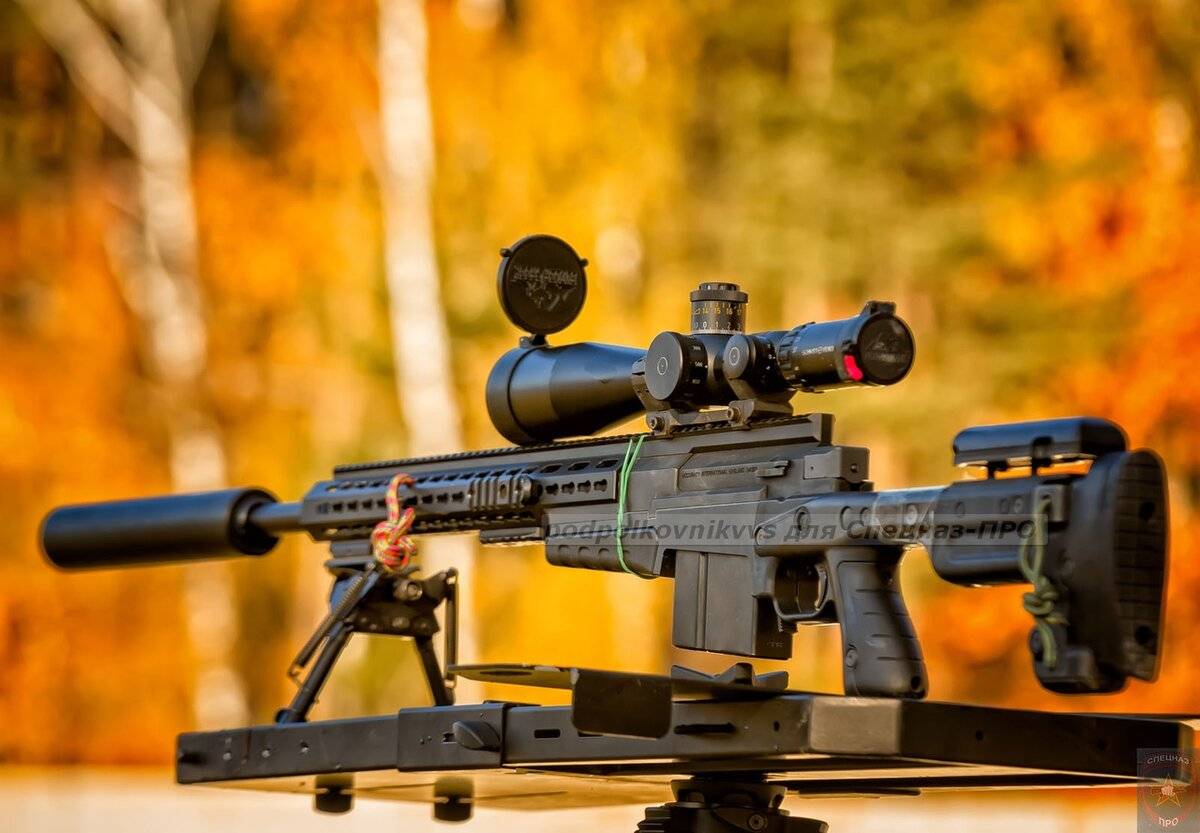 Обзор лучших охотничьих снайперских винтовок на 2022 год. достоинства и недостатки
