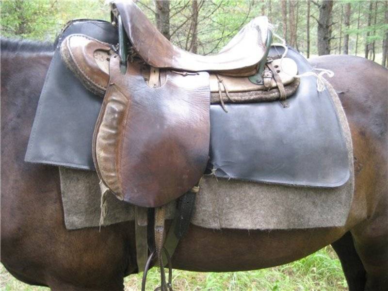 Седло для лошади: как подобрать размер, как одевать, виды (казачье, спортивное, дамское, прогулочное), как сделать своими руками