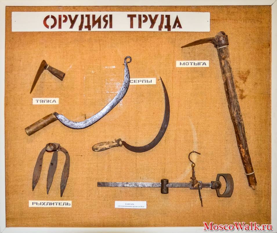 Какой нож считается холодным оружием? классификация :: businessman.ru