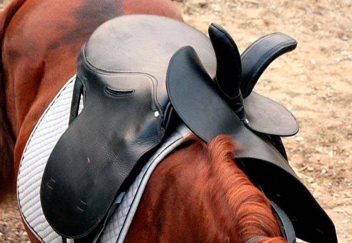 Седло для лошади — обзор видов и как сделать самому?