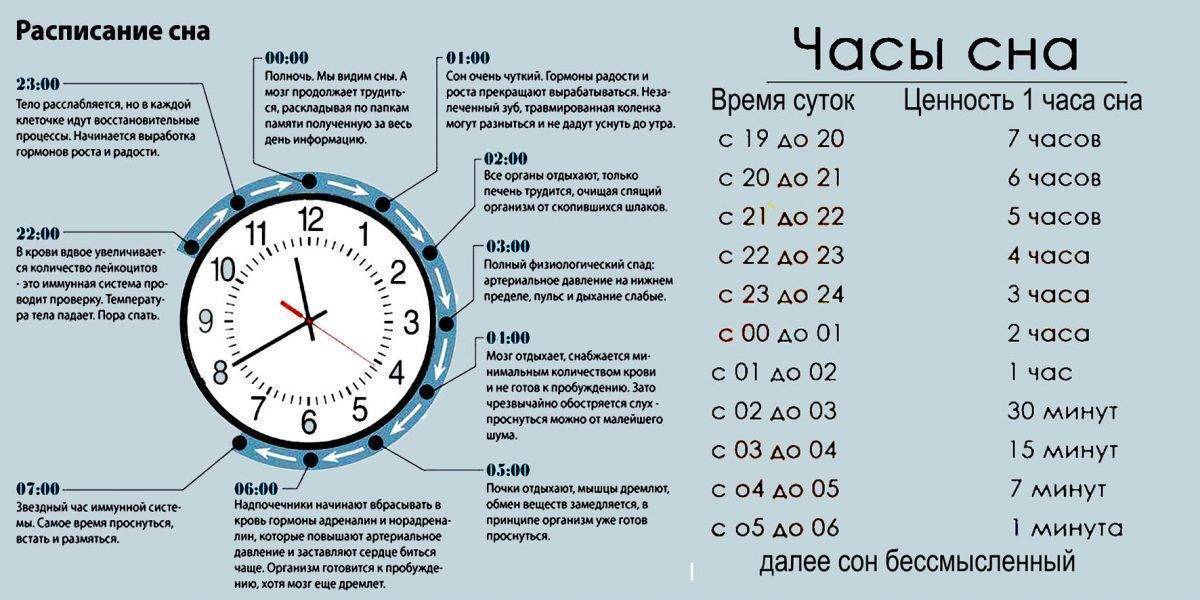 Летний призыв: сроки проведения в России