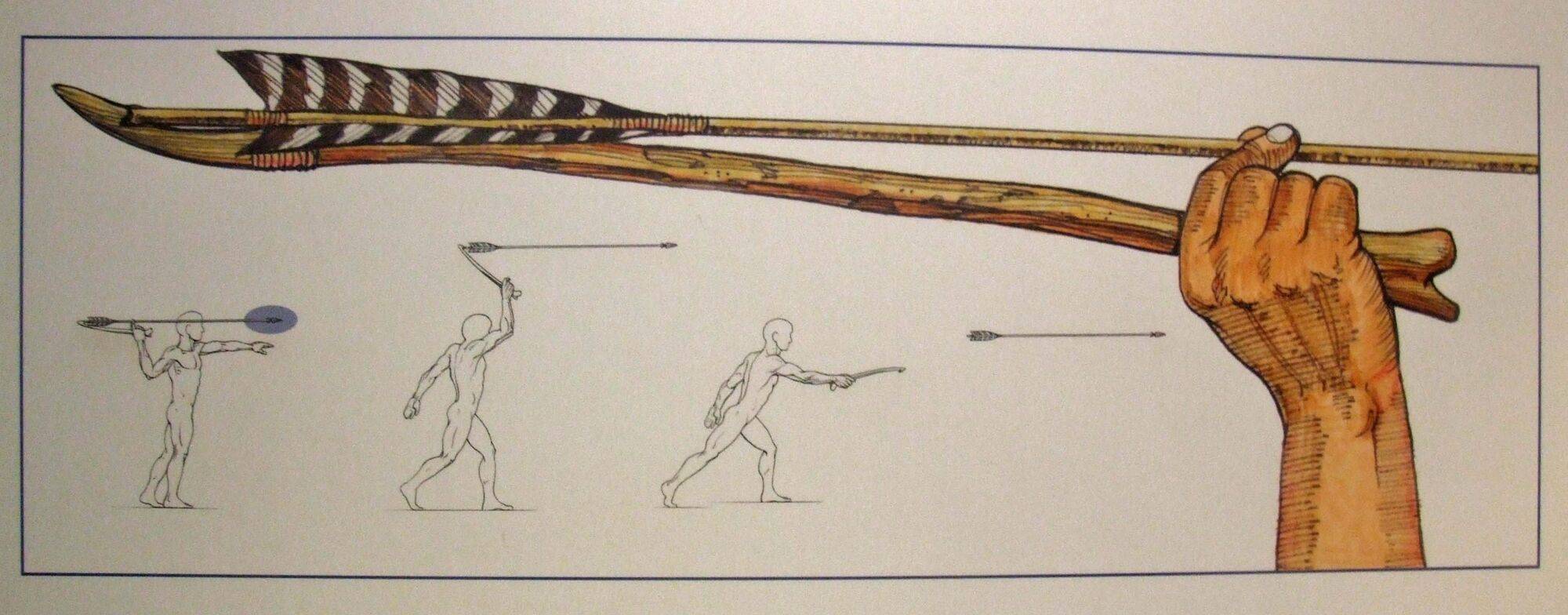 Праща - античное метательное оружие, как сделать и пользоваться, снаряды для стрельбы, история появления и причины полулярности, дальность броска