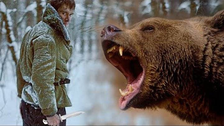 Охота на медведя на приваде осенью и весной, как сделать приваду