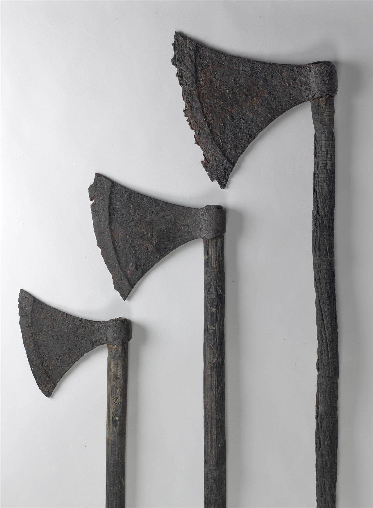 Секира: оружие викингов, скандинавский боевой топор, двуручные, двухсторонние, популярные виды, применение