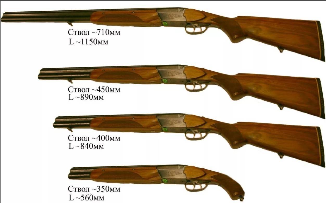 Иж-12 — легендарное ружье 12 и 16 калибра для охоты